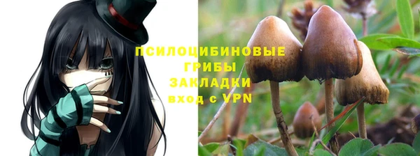 ПСИЛОЦИБИНОВЫЕ ГРИБЫ Абдулино