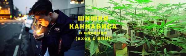 ПСИЛОЦИБИНОВЫЕ ГРИБЫ Абдулино